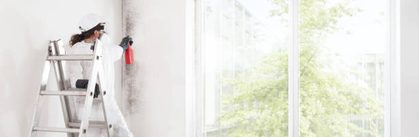 Trusted Sharonville, OH Mold Removal Experts