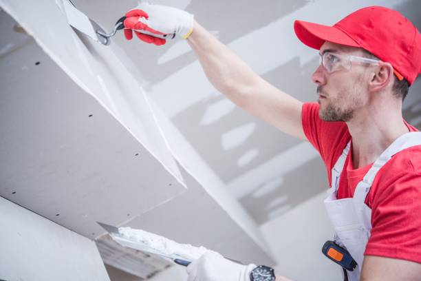 Best Mold Documentation for Insurance Claims  in Sharonville, OH